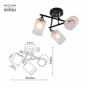 Люстра на штанге Rivoli Fiona Б0059259 в Режи - rezh.mebel24.online | фото
