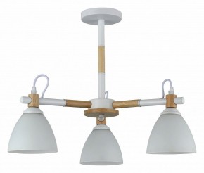 Люстра на штанге Rivoli Louise Б0060982 в Режи - rezh.mebel24.online | фото