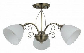 Люстра на штанге Rivoli Sue Б0060985 в Режи - rezh.mebel24.online | фото