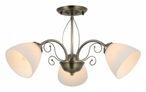 Люстра на штанге Rivoli Sue Б0060985 в Режи - rezh.mebel24.online | фото 2