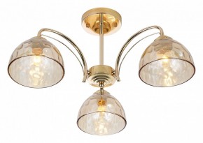 Люстра на штанге Rivoli Terri Б0060988 в Режи - rezh.mebel24.online | фото