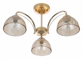 Люстра на штанге Rivoli Terri Б0060988 в Режи - rezh.mebel24.online | фото 2