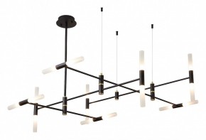 Люстра на штанге ST-Luce  SL1216.403.16 в Режи - rezh.mebel24.online | фото 2