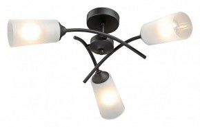 Люстра на штанге Vitaluce V2850 V2850-1/3PL в Режи - rezh.mebel24.online | фото 2