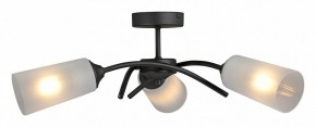 Люстра на штанге Vitaluce V2850 V2850-1/3PL в Режи - rezh.mebel24.online | фото 3