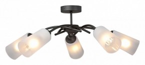 Люстра на штанге Vitaluce V2850 V2850-1/5PL в Режи - rezh.mebel24.online | фото