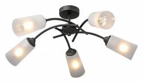 Люстра на штанге Vitaluce V2850 V2850-1/5PL в Режи - rezh.mebel24.online | фото 2