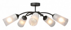 Люстра на штанге Vitaluce V2850 V2850-1/5PL в Режи - rezh.mebel24.online | фото 3