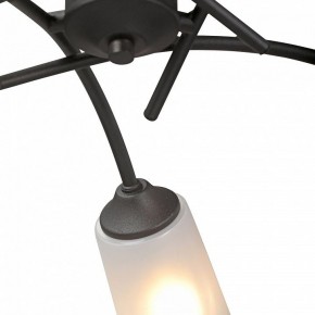 Люстра на штанге Vitaluce V2850 V2850-1/5PL в Режи - rezh.mebel24.online | фото 6
