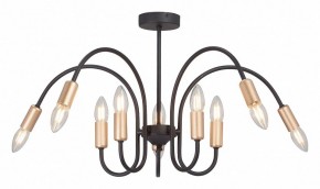 Люстра на штанге Vitaluce V3026 V3026-1/10PL в Режи - rezh.mebel24.online | фото 2