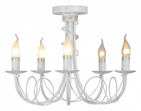Люстра на штанге Vitaluce V3035 V3035-0/5PL в Режи - rezh.mebel24.online | фото 2