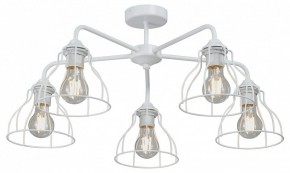 Люстра на штанге Vitaluce V3102 V3102-0/5PL в Режи - rezh.mebel24.online | фото