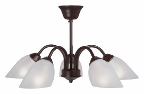 Люстра на штанге Vitaluce V3335 V3335-7/5PL в Режи - rezh.mebel24.online | фото
