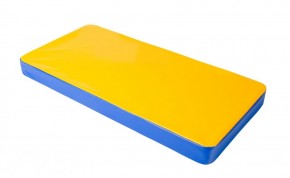 Мат гимнастический 1х0,5х0,08м цв. синий-желтый в Режи - rezh.mebel24.online | фото 1