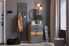МЕБЕЛЬСОН К21 Прихожая в Режи - rezh.mebel24.online | фото 2