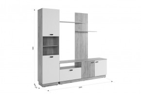 МОДИ Гостиная (модульная) белое дерево в Режи - rezh.mebel24.online | фото 2