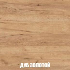 МСП-1 Шкаф 2-х створчатый (Дуб Золотой/Камень темный) в Режи - rezh.mebel24.online | фото 4