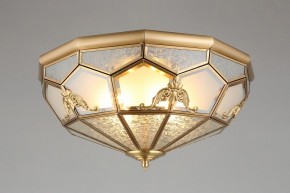 Накладной светильник Aployt Leoni APL.625.07.04 в Режи - rezh.mebel24.online | фото 6