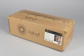 Накладной светильник Aployt Milunia APL.050.01.10 в Режи - rezh.mebel24.online | фото 8