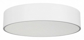 Накладной светильник Arlight TOR PILL 022108(3) в Режи - rezh.mebel24.online | фото