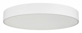 Накладной светильник Arlight TOR PILL 022132(4) в Режи - rezh.mebel24.online | фото