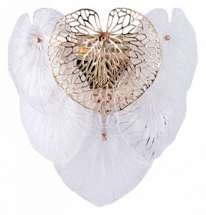 Накладной светильник Arte Lamp Kapri A4078AP-2GO в Режи - rezh.mebel24.online | фото