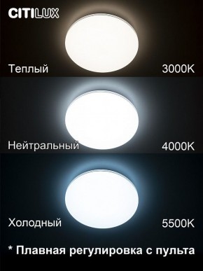 Накладной светильник Citilux Симпла CL714330G в Режи - rezh.mebel24.online | фото 4