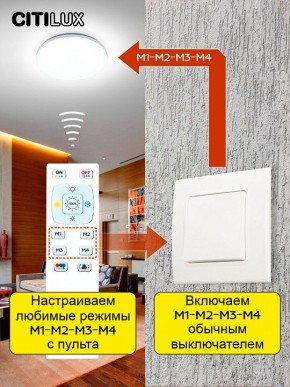 Накладной светильник Citilux Симпла CL714330G в Режи - rezh.mebel24.online | фото 6