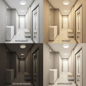 Накладной светильник Denkirs PLATO DK6510-WH в Режи - rezh.mebel24.online | фото 7