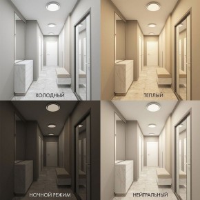 Накладной светильник Denkirs Cany DK6516-WH в Режи - rezh.mebel24.online | фото 2