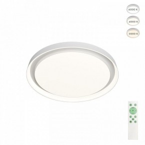 Накладной светильник Denkirs Cany DK6516-WH в Режи - rezh.mebel24.online | фото 3