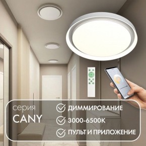 Накладной светильник Denkirs Cany DK6516-WH в Режи - rezh.mebel24.online | фото 4