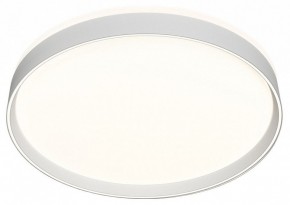 Накладной светильник Denkirs PLATO DK6511-WH/1 в Режи - rezh.mebel24.online | фото