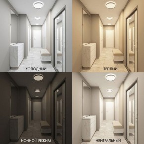 Накладной светильник Denkirs PLATO DK6511-WH/1 в Режи - rezh.mebel24.online | фото 5