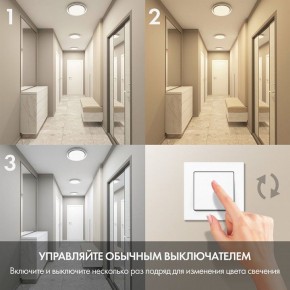Накладной светильник Denkirs Cany DK6516-WH в Режи - rezh.mebel24.online | фото 6