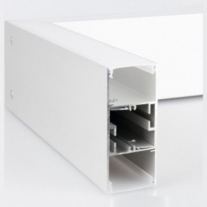 Накладной светильник Elektrostandard Grand a041470 в Режи - rezh.mebel24.online | фото 3