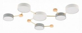 Накладной светильник EVOLUCE Dossena SLE600102-06 в Режи - rezh.mebel24.online | фото 2