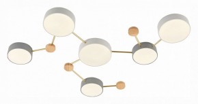Накладной светильник EVOLUCE Dossena SLE600102-06 в Режи - rezh.mebel24.online | фото 3