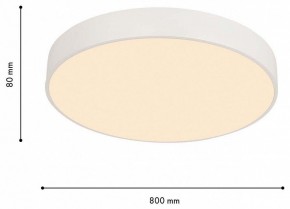 Накладной светильник F-promo Arena 4685-8C в Режи - rezh.mebel24.online | фото 6