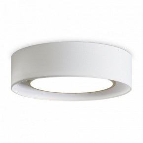 Накладной светильник Freya Cozy FR6170CL-L52BS в Режи - rezh.mebel24.online | фото 3