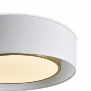 Накладной светильник Freya Cozy FR6170CL-L52BS в Режи - rezh.mebel24.online | фото 4