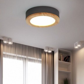 Накладной светильник Imperiumloft Wudda Серый WUDDA01 в Режи - rezh.mebel24.online | фото 4
