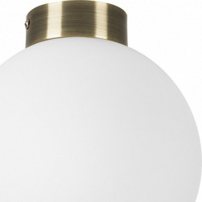 Накладной светильник Lightstar Globo 812021 в Режи - rezh.mebel24.online | фото 3