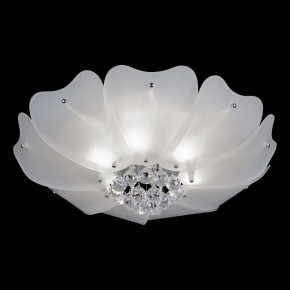 Накладной светильник Lightstar Lobo 804020 в Режи - rezh.mebel24.online | фото 2