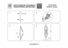 Накладной светильник Lightstar Varese 731653 в Режи - rezh.mebel24.online | фото 3