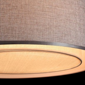 Накладной светильник Maytoni Bergamo MOD613CL-04GR в Режи - rezh.mebel24.online | фото 10