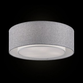 Накладной светильник Maytoni Bergamo MOD613CL-04GR в Режи - rezh.mebel24.online | фото 2