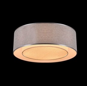 Накладной светильник Maytoni Bergamo MOD613CL-04GR в Режи - rezh.mebel24.online | фото 4