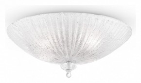 Накладной светильник Maytoni Bonnet C809CL-04CH в Режи - rezh.mebel24.online | фото 2
