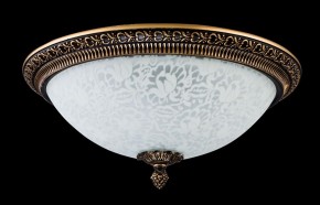 Накладной светильник Maytoni Pascal C908-CL-03-R в Режи - rezh.mebel24.online | фото 2